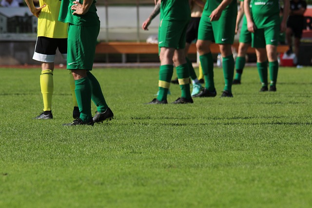 案例分析 案例分析