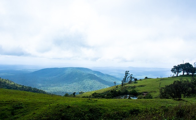 调整自己的 调整自己的